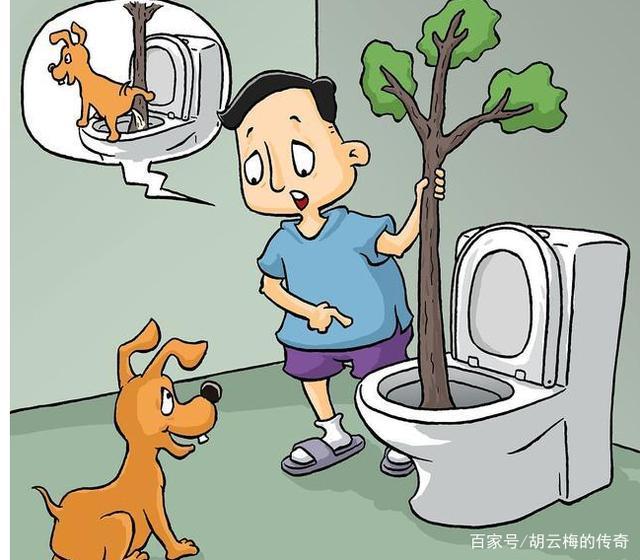 肾脏由盛到衰的3个特征,若你一个没有,说明你身体非常好 鹿血片 第3张 肾脏由盛到衰的3个特征,若你一个没有,说明你身体非常好 鹿血片 第3张