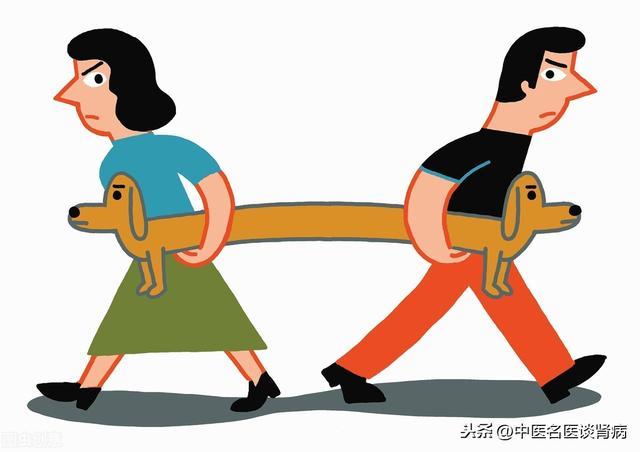 “肾脏”到底怎么理解？百年来中西医“各执一词” 鹿血片 第3张