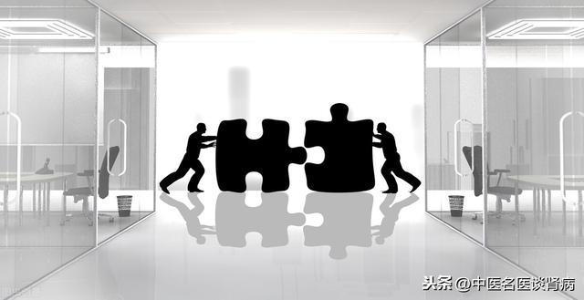 “肾脏”到底怎么理解？百年来中西医“各执一词” 鹿血片 第2张