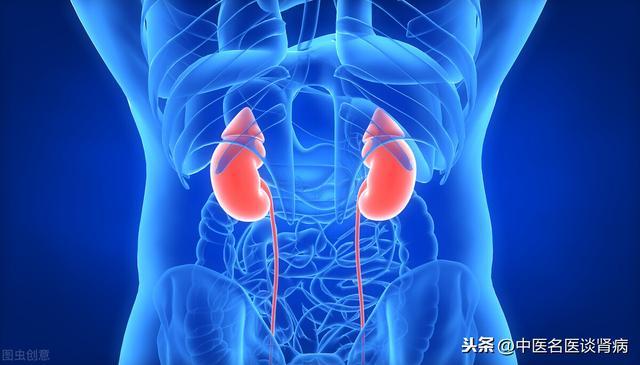 “肾脏”到底怎么理解？百年来中西医“各执一词” 鹿血片 第1张