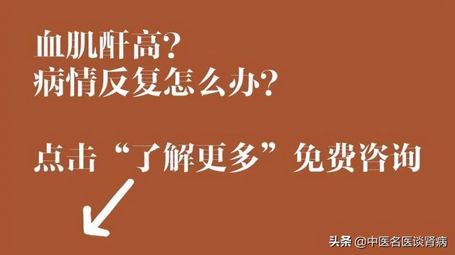 “肾脏”到底怎么理解？百年来中西医“各执一词” 鹿血片 第5张