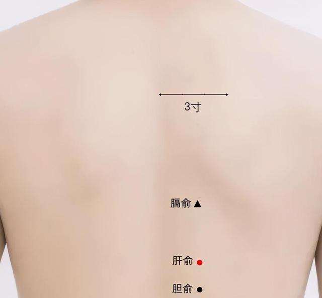 女人年过30，要警惕“三大虚” 鹿血片 第7张