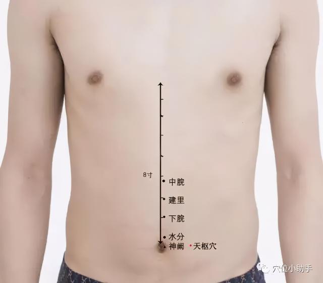 女人年过30，要警惕“三大虚” 鹿血片 第13张