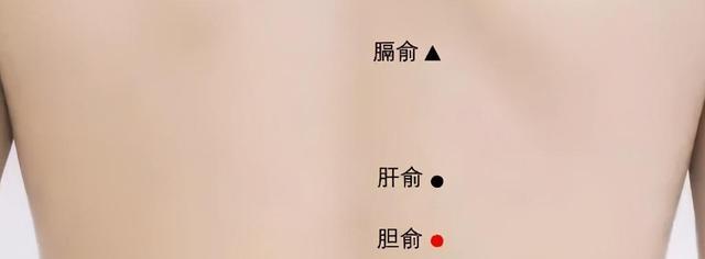 女人年过30，要警惕“三大虚” 鹿血片 第8张