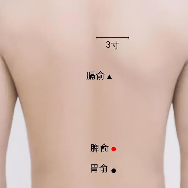 女人年过30，要警惕“三大虚” 鹿血片 第9张