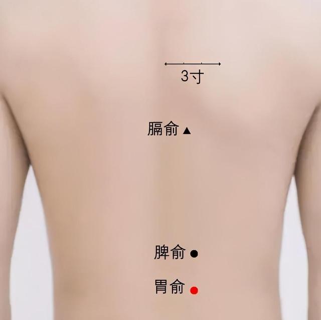 女人年过30，要警惕“三大虚” 鹿血片 第10张