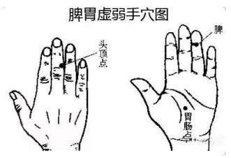 脾虚百病起！这两个动作帮助你健脾！ 鹿血片 第1张