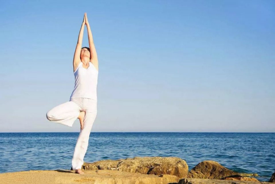 脾虚百病起！这两个动作帮助你健脾！ 鹿血片 第3张