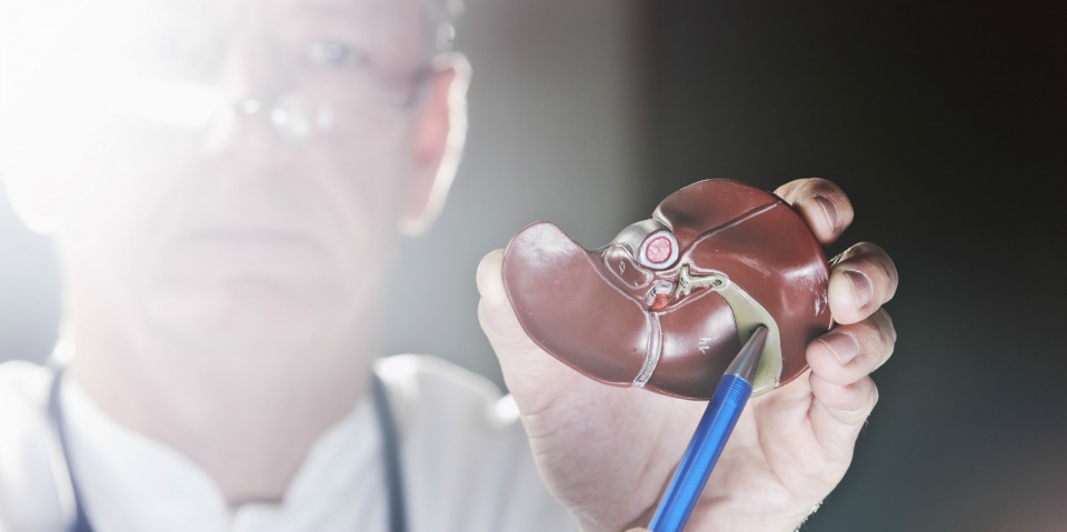 “三甜”最伤肝，尽量少吃，“两苦”养肝，宜多吃，必须谨记在心 鹿血片 第1张