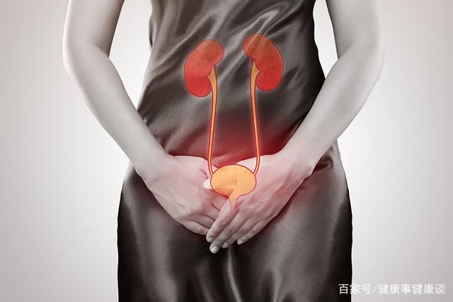 肾脏健康关乎于家庭幸福,若出现这些现象,请注意自己的肾脏 鹿血片 第3张 肾脏健康关乎于家庭幸福,若出现这些现象,请注意自己的肾脏 鹿血片 第3张