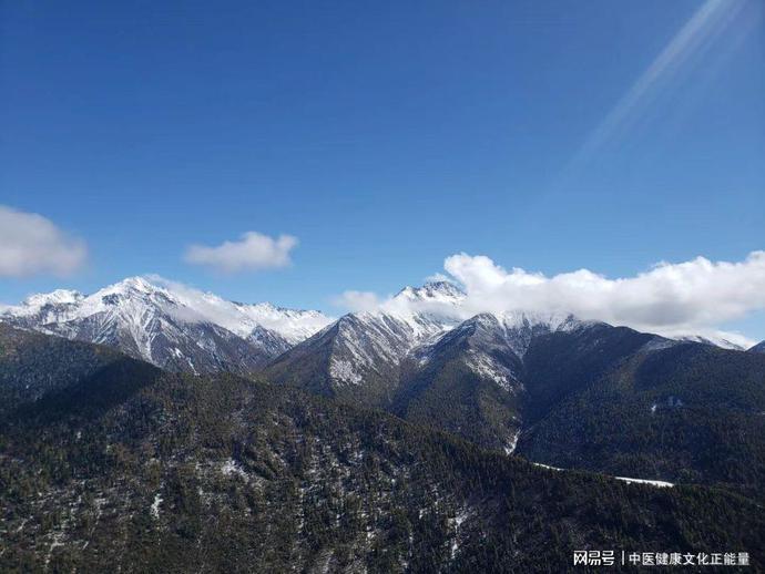 补肾的四大误区，让你越补越虚 鹿血片 第3张