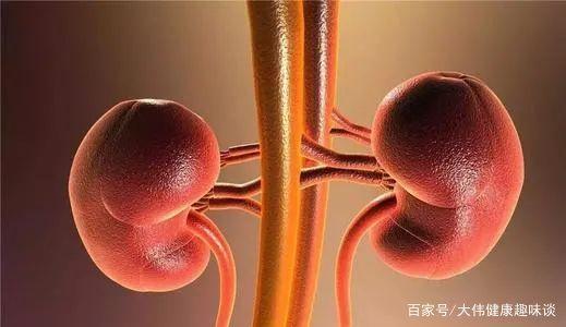 手淫对身体有益，但不宜过于频繁，常喝一种水，可改善你的肾动力 鹿血片 第3张