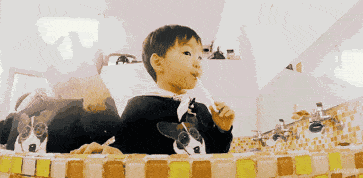 补身、养肾、暖肠胃一杯搞定！百元「随身私厨」分分钟做出养生粥、泡茶、煲汤… 鹿血片 第14张