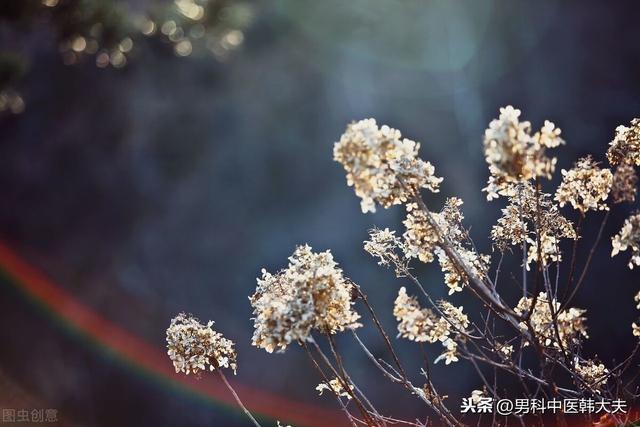 ed本是宗筋松弛，脾肾阳虚较难愈 鹿血片 第1张