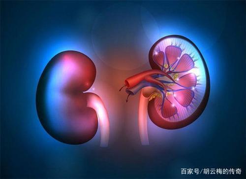 男人糟蹋肾脏的3个习惯，抽烟喝酒“靠边站”，第一名看完脸红 鹿血片 第1张