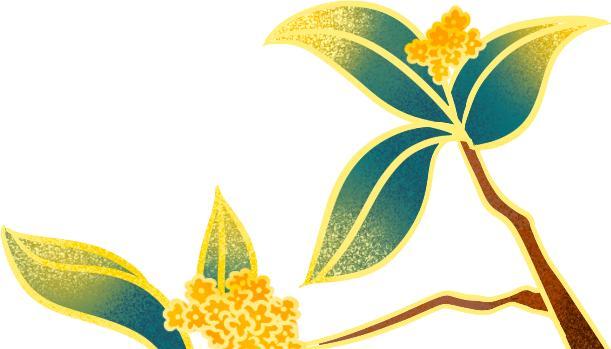 「食疗药膳」参草花胶水鸭汤，有补中益气、补肾滋阴、养血润燥等作用，适宜秋末冬初一般人群服食 鹿血片 第3张