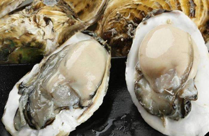 喝水能造成肾的负担吗?保证一辈子不“毒”,养肾食品排行榜帮你忙 鹿血片 第3张 喝水能造成肾的负担吗?保证一辈子不“毒”,养肾食品排行榜帮你忙 鹿血片 第3张