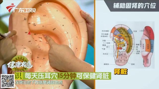 秋末冬初天渐冷,适合用两味药材来「固肾」养生 鹿血片 第4张 秋末冬初天渐冷,适合用两味药材来「固肾」养生 鹿血片 第4张