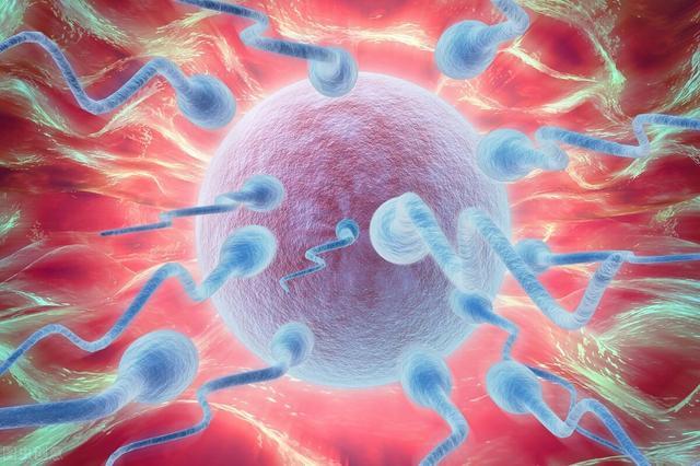 不孕症—精液黏稠,2小时不液化,平时腰酸、尿多,下腹胀痛 鹿血片 第3张 不孕症—精液黏稠,2小时不液化,平时腰酸、尿多,下腹胀痛 鹿血片 第3张