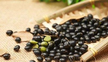 若早上吃一点黑豆,或许不出一月,3个好处可能“悄悄降临” 鹿血片 第2张 若早上吃一点黑豆,或许不出一月,3个好处可能“悄悄降临” 鹿血片 第2张