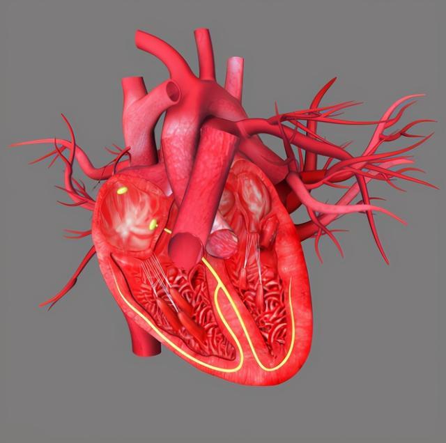 名中医亲授！每天对小拇指做1事，5大效果意想不到，还能防癌 鹿血片 第3张