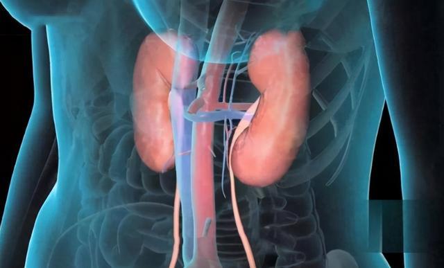 名中医亲授！每天对小拇指做1事，5大效果意想不到，还能防癌 鹿血片 第4张