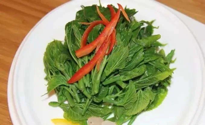 桑宴美食共分享！ 鹿血片 第19张