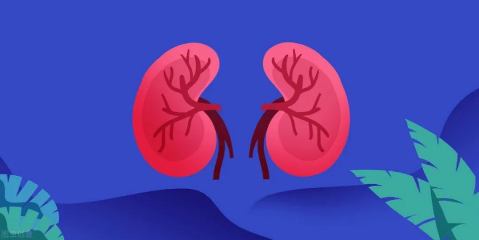 肾是怎么变虚的? 鹿血片 第9张 肾是怎么变虚的? 鹿血片 第9张