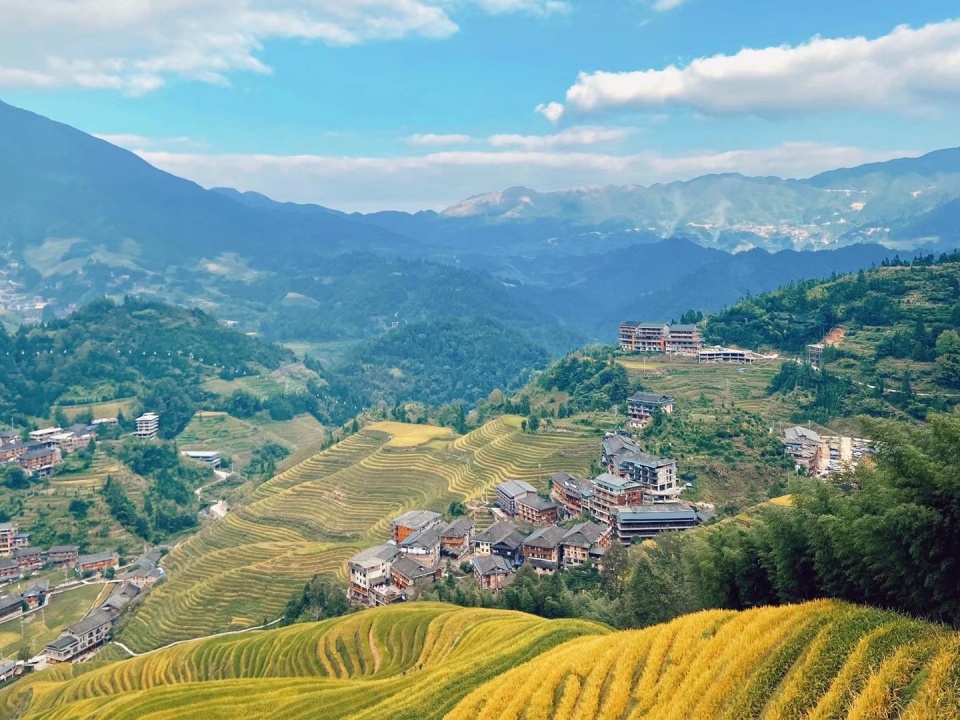 慢性前列腺炎是淋证,清热利尿补肝肾 鹿血片 第1张 慢性前列腺炎是淋证,清热利尿补肝肾 鹿血片 第1张