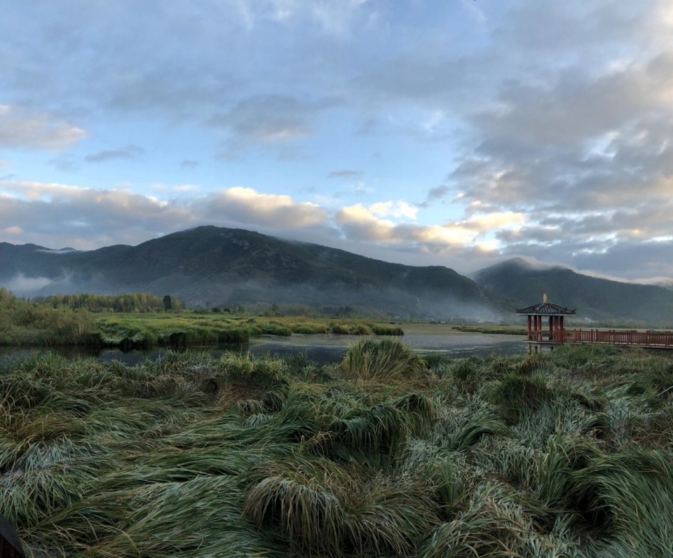 慢性前列腺炎是淋证,清热利尿补肝肾 鹿血片 第2张 慢性前列腺炎是淋证,清热利尿补肝肾 鹿血片 第2张