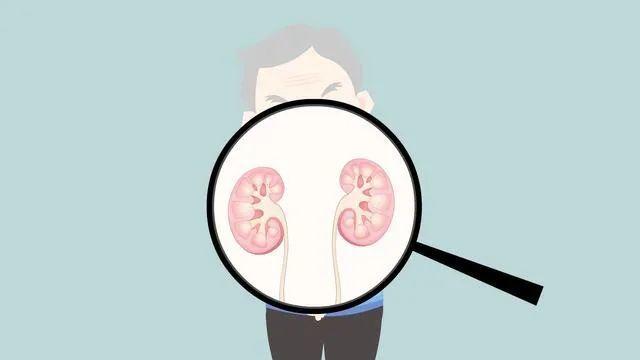 4个生活习惯，损伤肾脏，让肾越来越虚，改掉一个也是好的 鹿血片 第1张