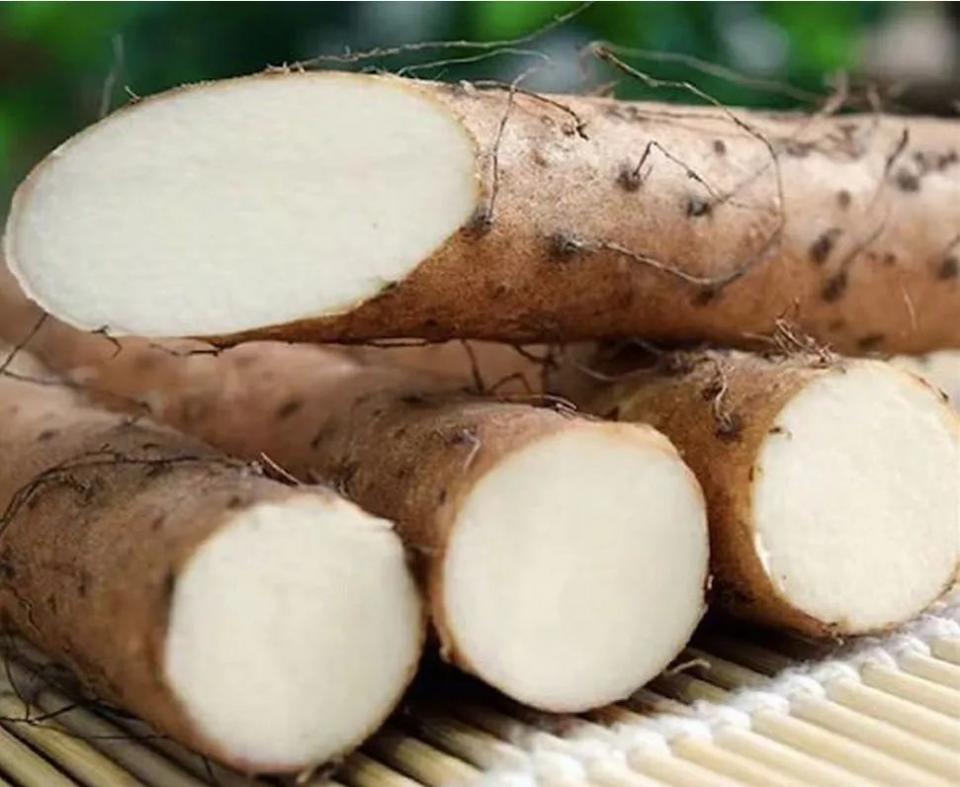 4个生活习惯，损伤肾脏，让肾越来越虚，改掉一个也是好的 鹿血片 第8张