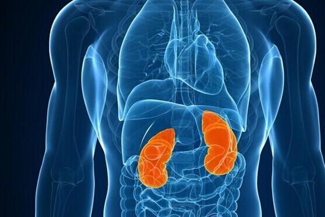 千年遗留“补肾裂缝”的方子,三味药,连用一周,归还阳气 鹿血片 第1张 千年遗留“补肾裂缝”的方子,三味药,连用一周,归还阳气 鹿血片 第1张