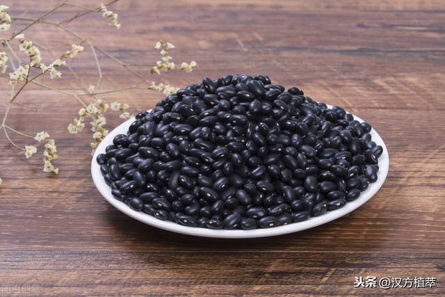 养生专家告诉你:女生应该从四个方面调养身体,快来学习一下吧 鹿血片 第3张 养生专家告诉你:女生应该从四个方面调养身体,快来学习一下吧 鹿血片 第3张