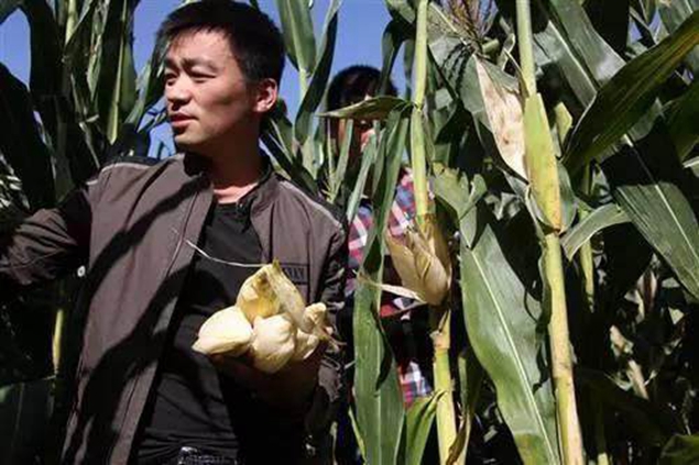 当明星回到老家，谁接地气，谁摆架子，看这些照片就能一目了然 鹿血片 第6张