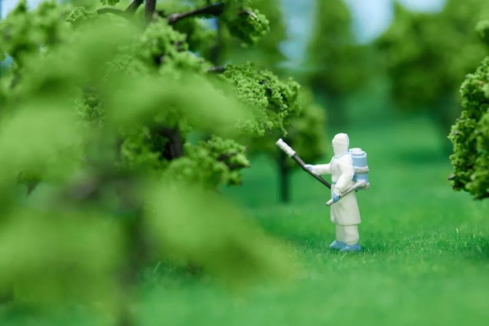 XBB登陆杭州上海:二次感染症状有多重?这3位亲历者说出了自己的感受… 鹿血片 第4张 XBB登陆杭州上海:二次感染症状有多重?这3位亲历者说出了自己的感受… 鹿血片 第4张