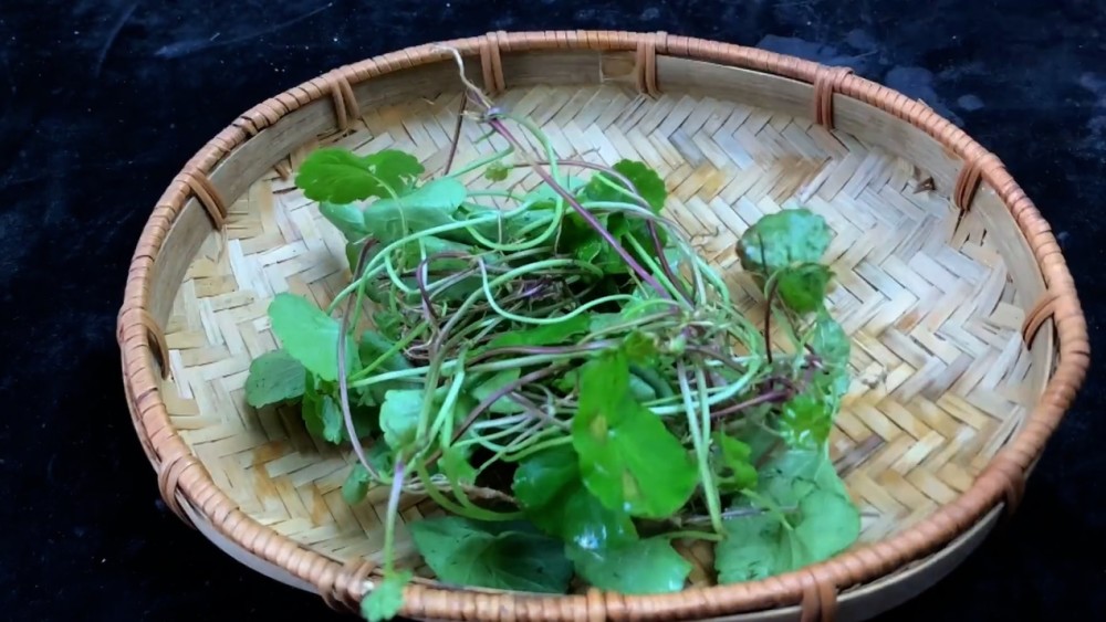 止咳化痰最快的方法，专家建议：用它和瘦肉煮汤，清热解毒，消肿止痛 鹿血片 第13张