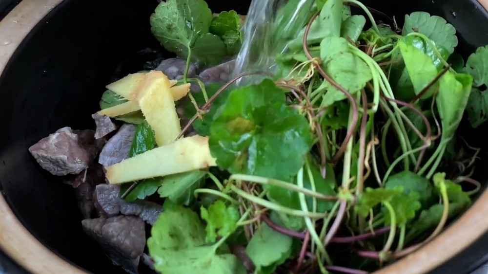 止咳化痰最快的方法，专家建议：用它和瘦肉煮汤，清热解毒，消肿止痛 鹿血片 第16张