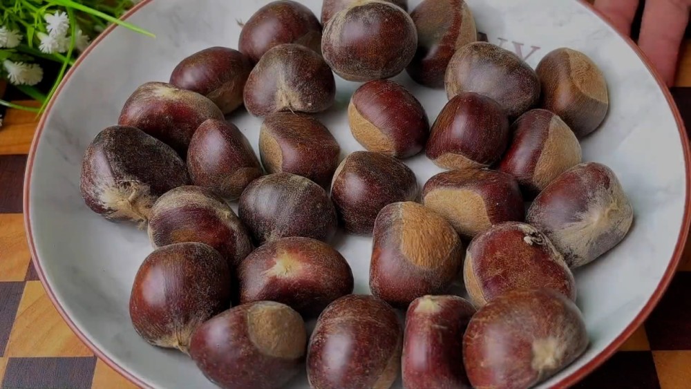 止咳化痰最快的方法，专家建议：用它和瘦肉煮汤，清热解毒，消肿止痛 鹿血片 第19张