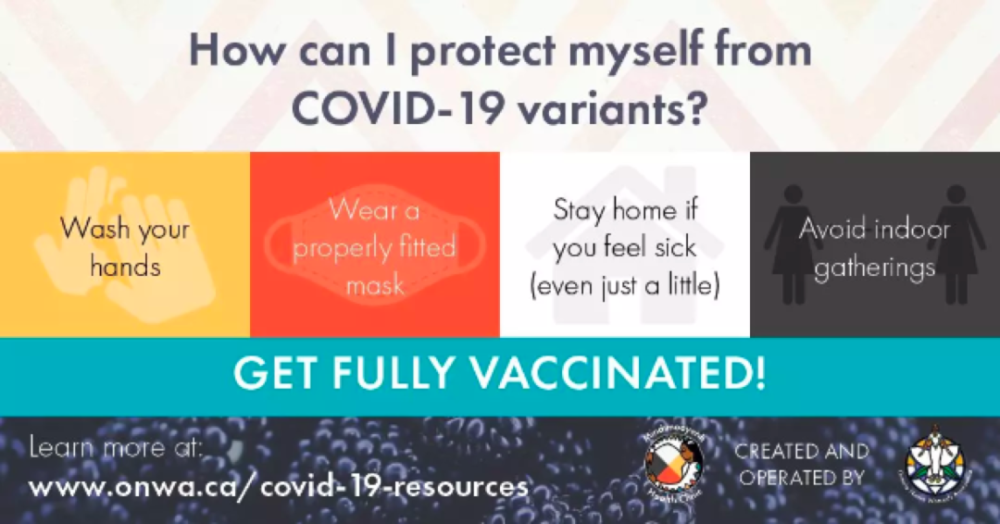 现在还没阳的人，是不是基因有什么优势？ 鹿血片 第5张