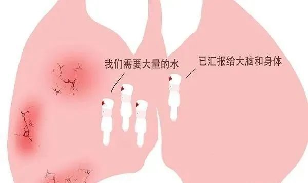 新冠病毒“侵犯”你的双肺时,会出现3个征兆,尽快就医才好 鹿血片 第1张 新冠病毒“侵犯”你的双肺时,会出现3个征兆,尽快就医才好 鹿血片 第1张