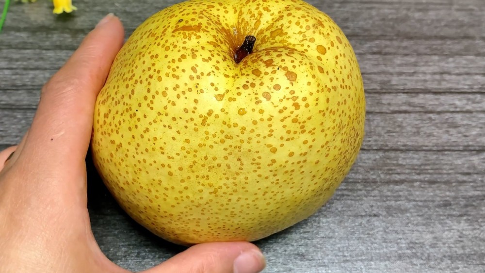 再顽固的咳嗽，拿它泡水喝几次，止咳化痰降肝火，喉咙舒服少生病 鹿血片 第8张