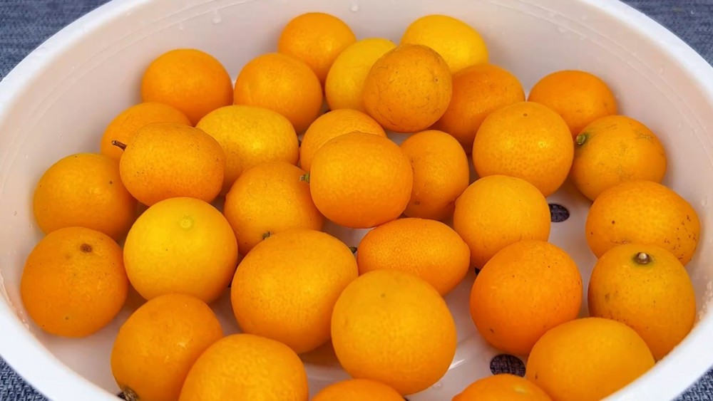 再顽固的咳嗽，拿它泡水喝几次，止咳化痰降肝火，喉咙舒服少生病 鹿血片 第13张