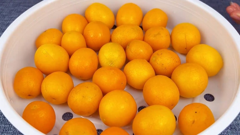 再顽固的咳嗽，拿它泡水喝几次，止咳化痰降肝火，喉咙舒服少生病 鹿血片 第14张