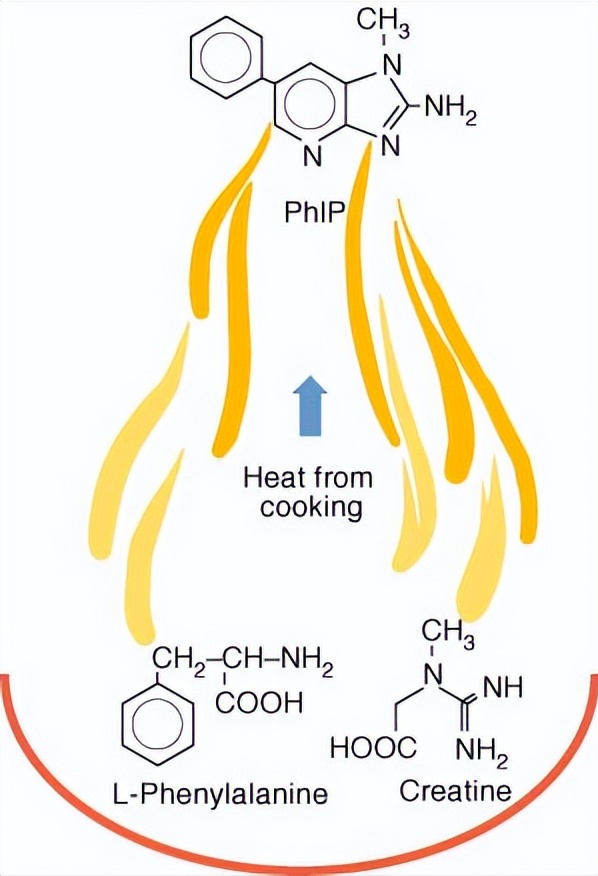 来自厨房的三大致癌物,很多炒菜的妈都错了,如何减少厨房致癌物 鹿血片 第4张 来自厨房的三大致癌物,很多炒菜的妈都错了,如何减少厨房致癌物 鹿血片 第4张