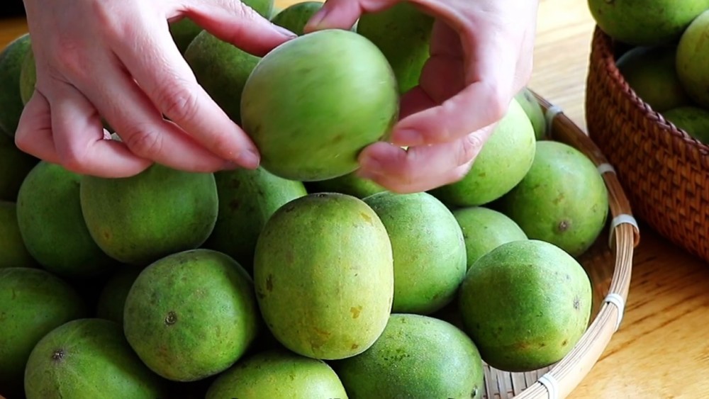 咳嗽最怕吃1果,比10碗梨汤还管用!滋阴润肺,凉血利咽,别错过 鹿血片 第2张 咳嗽最怕吃1果,比10碗梨汤还管用!滋阴润肺,凉血利咽,别错过 鹿血片 第2张