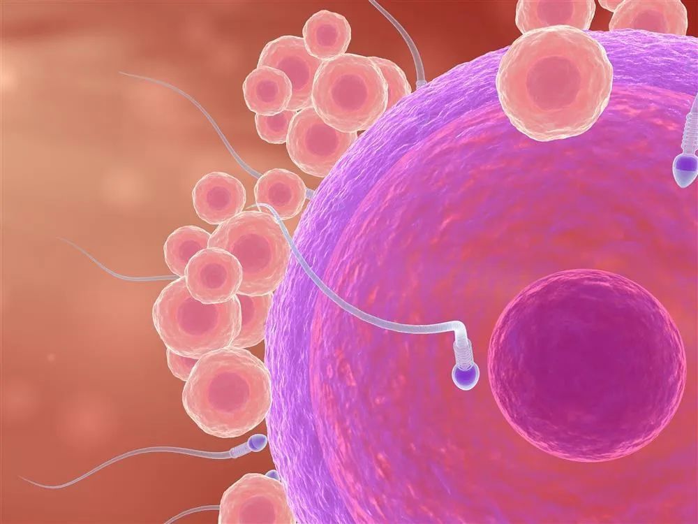 “阳了”怎么保护精子?“阳康”多久可以性生活?男科专家来解疑 鹿血片 第3张 “阳了”怎么保护精子?“阳康”多久可以性生活?男科专家来解疑 鹿血片 第3张